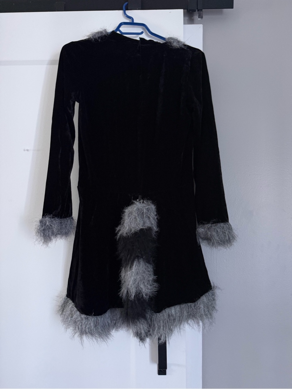 Racy Raccoon Costume - Picture 5 of 6